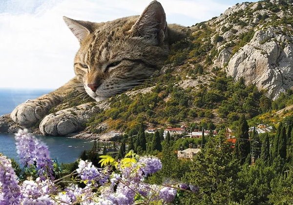 Спектакль-экскурсия"Симеиз. Истории каменной Кошки" - фото 3
