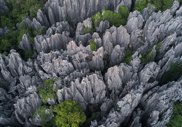 Куньмин и Каменный лес: путешествие в мир каменных легенд - фото 2