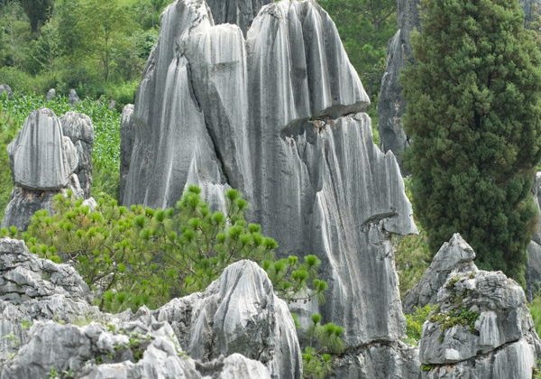 Куньмин и Каменный лес: путешествие в мир каменных легенд - фото 4
