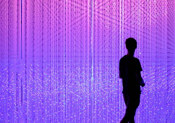 TeamLab Borderless: безграничное цифровое искусство в Токио - фото 4