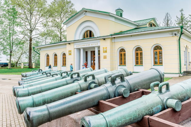 Бородинское сражение «Стойкий оловянный солдатик» - фото 2