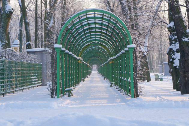 Фото - экскурсия: Прогулка по Летнему саду - самому старому парку Санкт-Петербурга