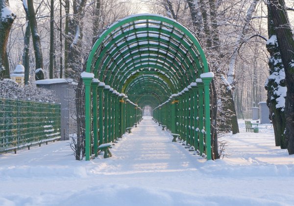 Летний сад: прогулка по старейшему парку Петербурга
