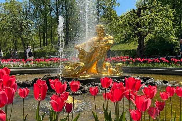 Прогулка на метеоре к фонтанам Петергофа