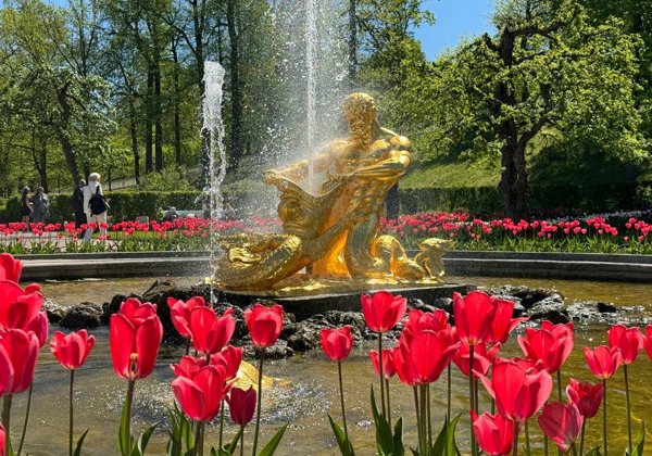 Фонтаны Петергофа на метеоре