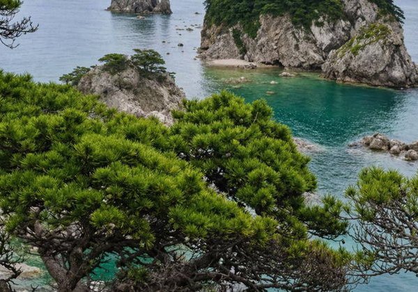 Морской Мыс Сосновый — заповедник у моря, куда едут со всей России - фото 2