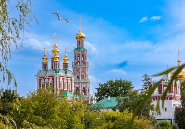 Девичьим полем в Новодевичью обитель (с посещением Новодевичьего некрополя) - фото 2