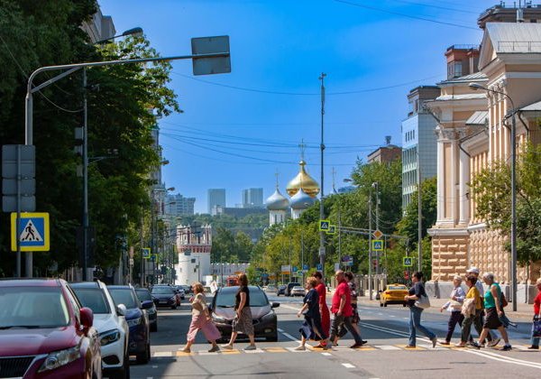 Девичьим полем в Новодевичью обитель (с посещением Новодевичьего некрополя) - фото 3