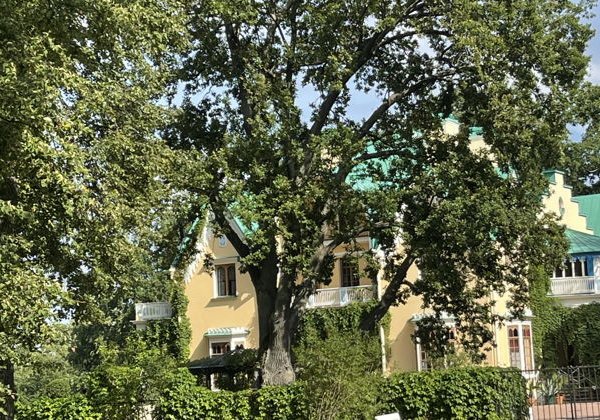 В знаменитый парк Петергофа – Александрию на комфортабельном автомобиле  - фото 4