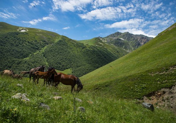 Дигория: путешествие в самый красивый район Северной Осетии из Пятигорска - фото 2