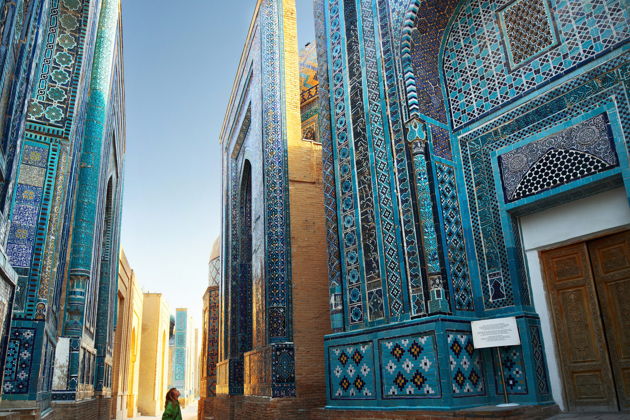 Фото экскурсии - Путешествие из Ташкента в Самарканд на скоростном поезде - 13