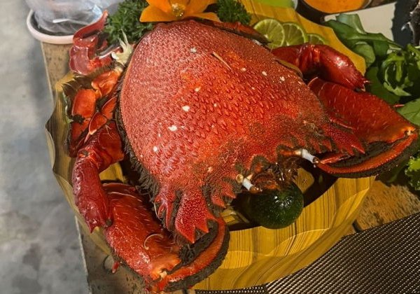 Фукуй: снорклинг, морская рыбалка, островная жизнь! - фото 3