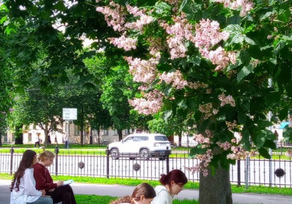 Пленэр на Васильевском острове - фото 3