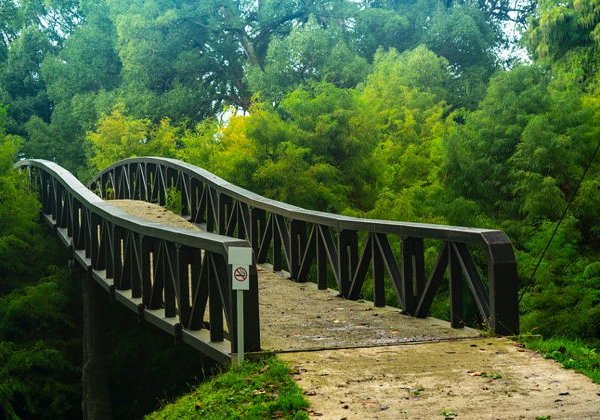 Экскурсия из Батуми в мини-группе "Вдоль самого синего моря" - фото 4