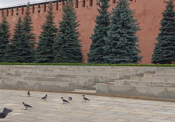 Пешеходная экскурсия-хоррор «Кремль — территория призраков» (21+) - фото 2
