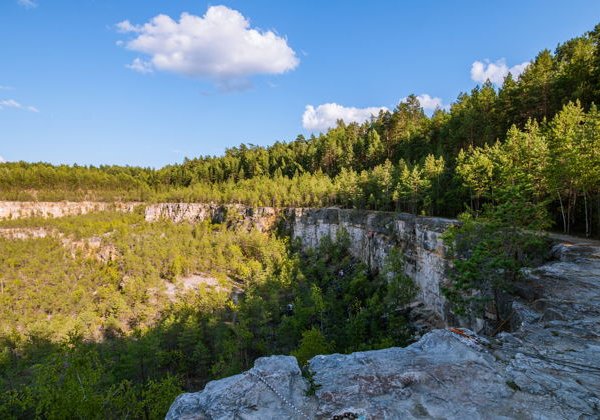 Автобусная экскурсия «Замок, скалы Дюки и край северных орхидей» - фото 1