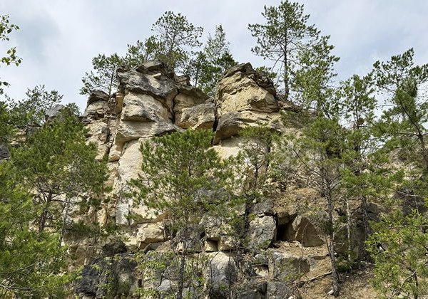 Автобусная экскурсия «Замок, скалы Дюки и край северных орхидей» - фото 2