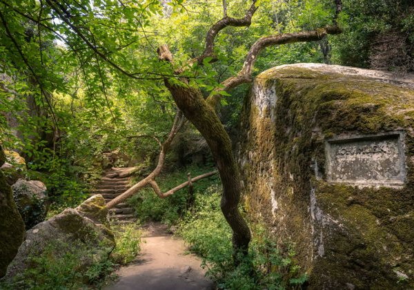 Ливадийский и Воронцовский дворцы из Ялты - фото 1