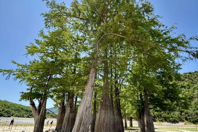 Фото экскурсии - Анапа: от Ласточкиного гнезда до Кипарисового озера - 14