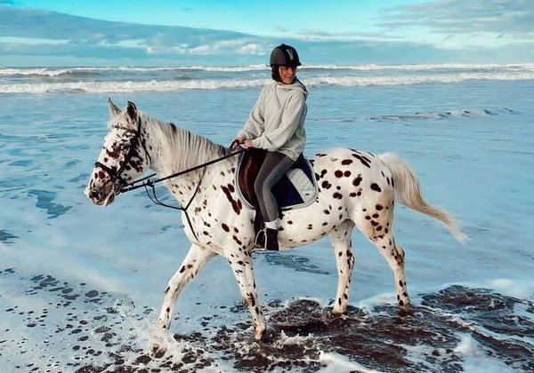 Horseback Riding on Casablanca Beach - фото 2