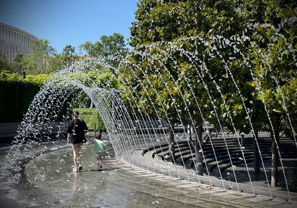 Прогулка по парку Галицкого с гидом по Краснодарскому краю - фото 3
