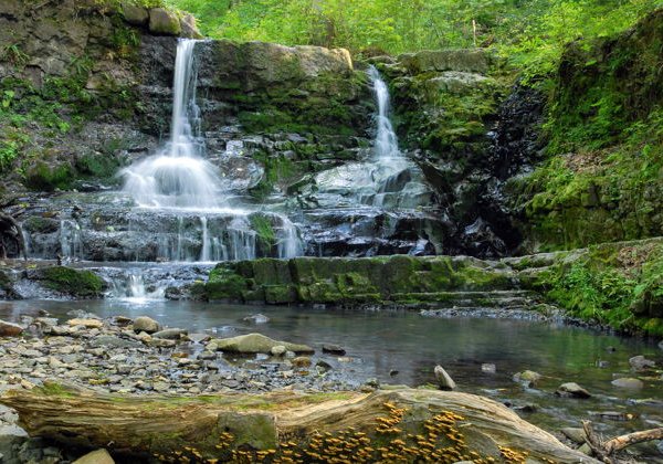 Кравцовские водопады и мыс Парящей Черепахи - фото 4
