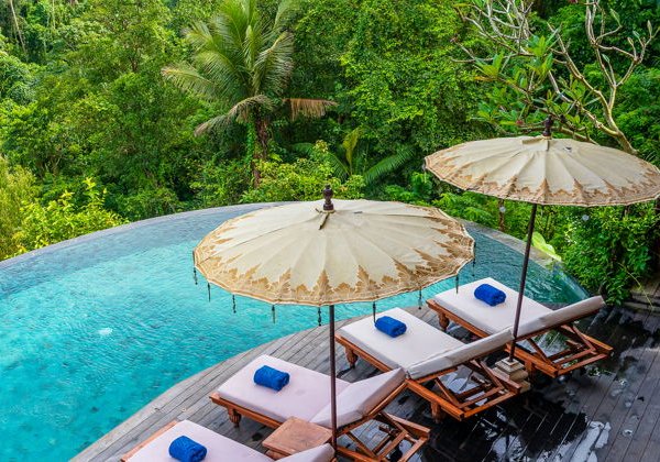 The Jungle Club Ubud — отдых среди джунглей и панорамных видов - фото 3