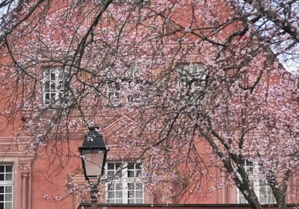 Эльзас в миниатюре: самые красивые деревни за один день - фото 1