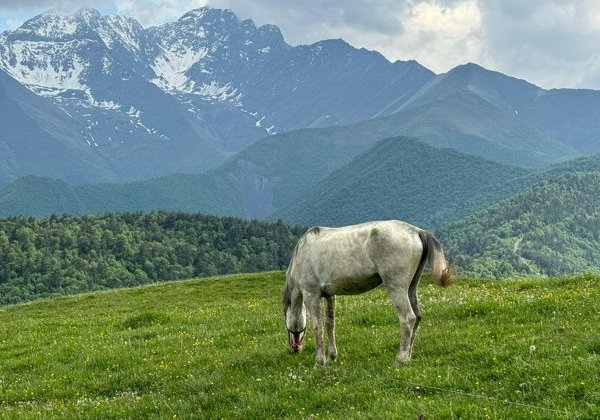 Из Грозного — в Ингушетию и Северную Осетию (г. Владикавказ) - фото 3