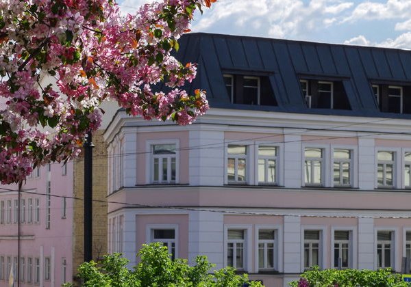 Тайны Хитровки: криминал, легенды и судьбы - фото 3