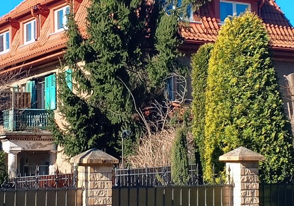 Обломки старых кораблей в камнях Кенигсберга - фото 4