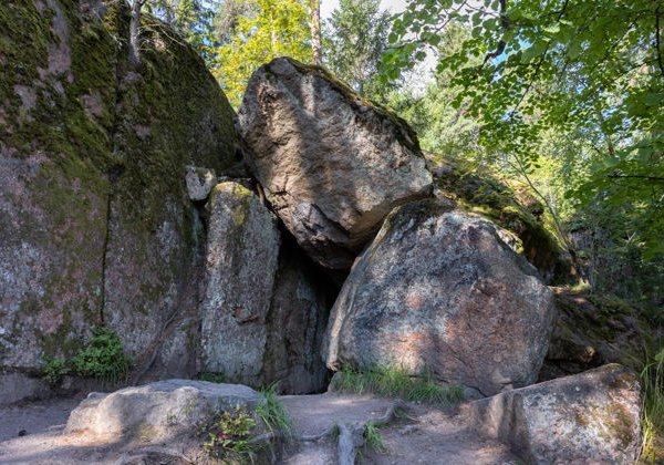 Экскурсия по парку Монрепо в мини-группе - фото 2