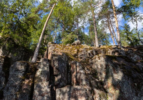 Экскурсия по парку Монрепо в мини-группе - фото 3