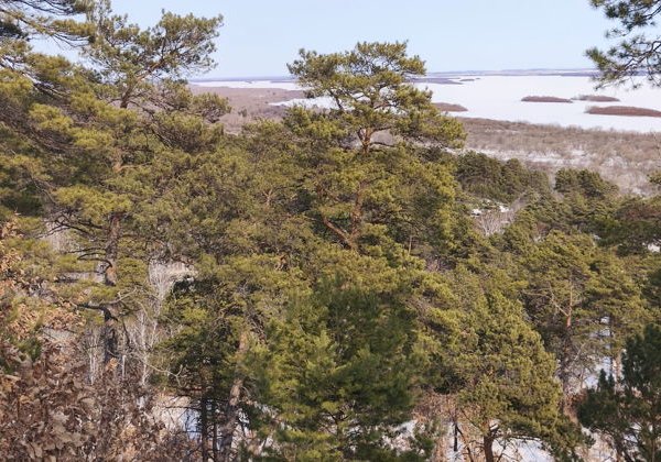 Волчий обрыв. Сопки Амурской области - фото 3