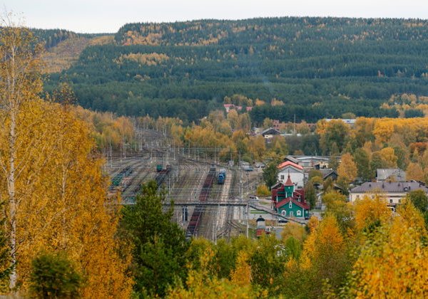Путешествие на Соловки, Беломорканал и петроглифы (2 дня) - фото 4