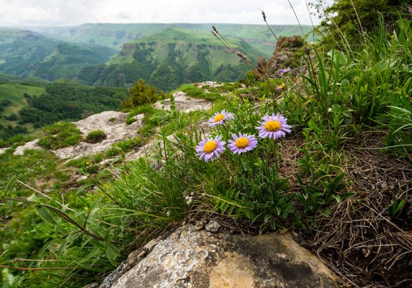 По дороге с облаками: Северное Приэльбрусье — Малый Бермамыт — Хасаут — Джилы-Су