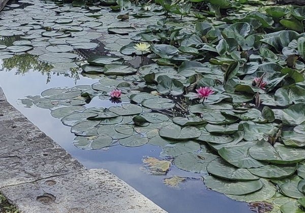 Императорский Пик — Ваши три часа на эксклюзивной частной Великой стене. - фото 4