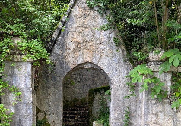 Фототур в Абхазию забытые здания: Гагра, Мандариновый сад и Пицунда - фото 1