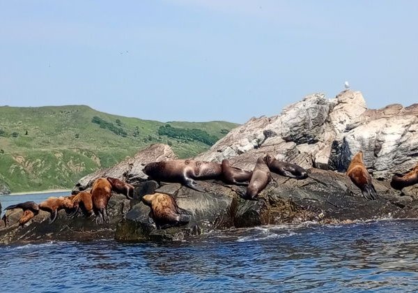 Острова Аскольд и Путятина: в поисках морских легенд - фото 1