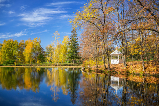 Фото - экскурсия: Прогулка по пушкинским местам в Большом Болдино