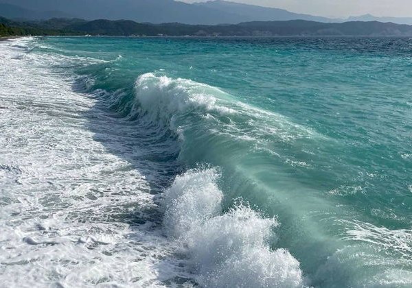Путешествие на лучший пляж Чёрного моря в Пицунде - фото 4