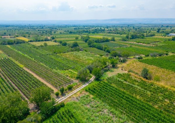 Знакомство с Грузией — 6 дней / 5 ночей - фото 4