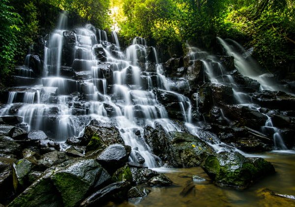 Лучшее в Убуде : Водопады и рисовые террасы - фото 1