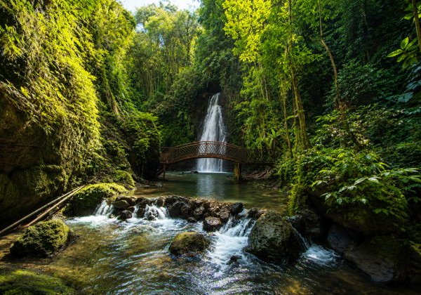 Лучшее в Убуде : Водопады и рисовые террасы - фото 2