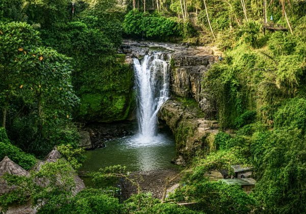 Лучшее в Убуде : Водопады и рисовые террасы - фото 3