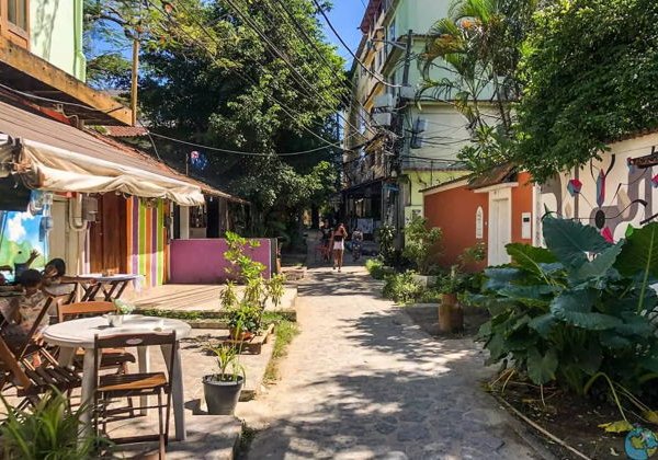 Бразильская Венеция и секретный пляж Рио. Мангровый лес внутри города - фото 4
