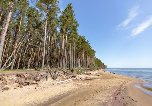 Тур в Калининград на 5 дней: от побережья до Куршской косы - фото 3