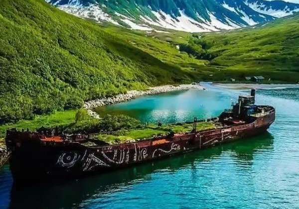 Морская прогулка в бухту Русская с высадкой на берег: сивучи, киты, рыбалка - фото 3