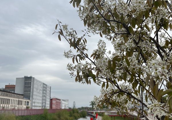 Всем Тула хороша: обзорная экскурсия по городу - фото 2