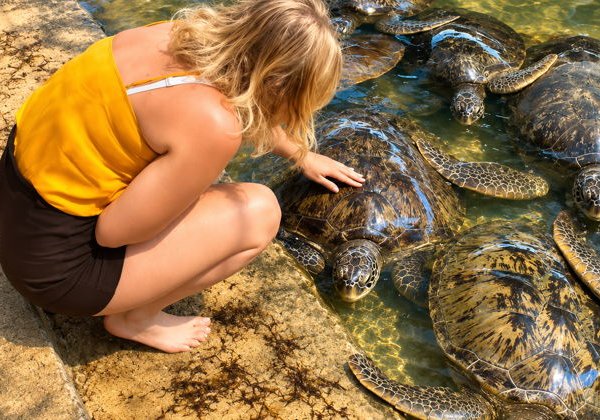 Южный Бали за один день: остров Черепах, GWK и Улувату - фото 3